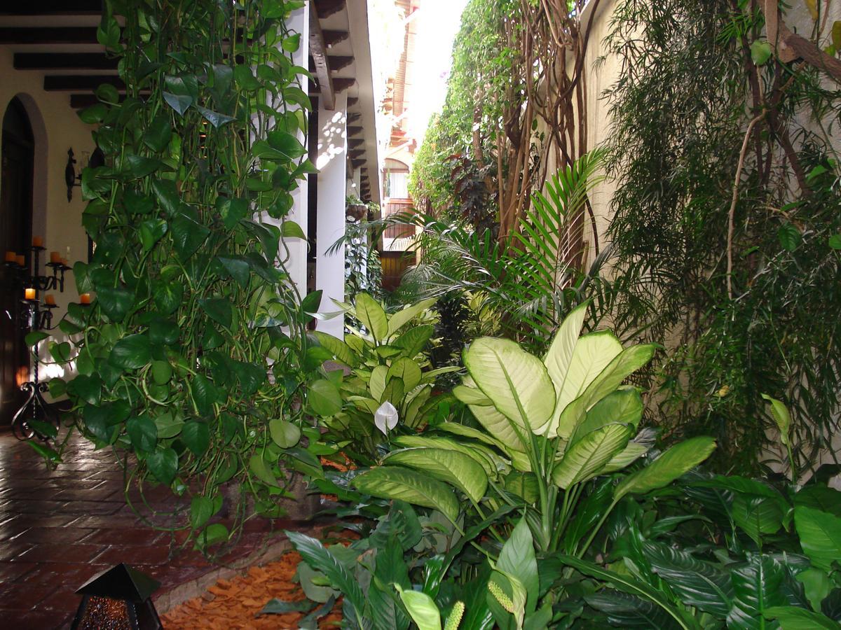 Casa Florencia Hotel Antigua Εξωτερικό φωτογραφία